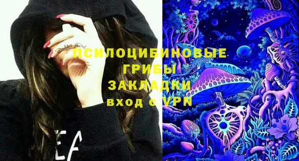 дурь Верхний Тагил